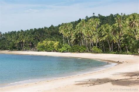 Tandag – Travel guide at Wikivoyage.